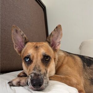 Meet your Posher, Yami